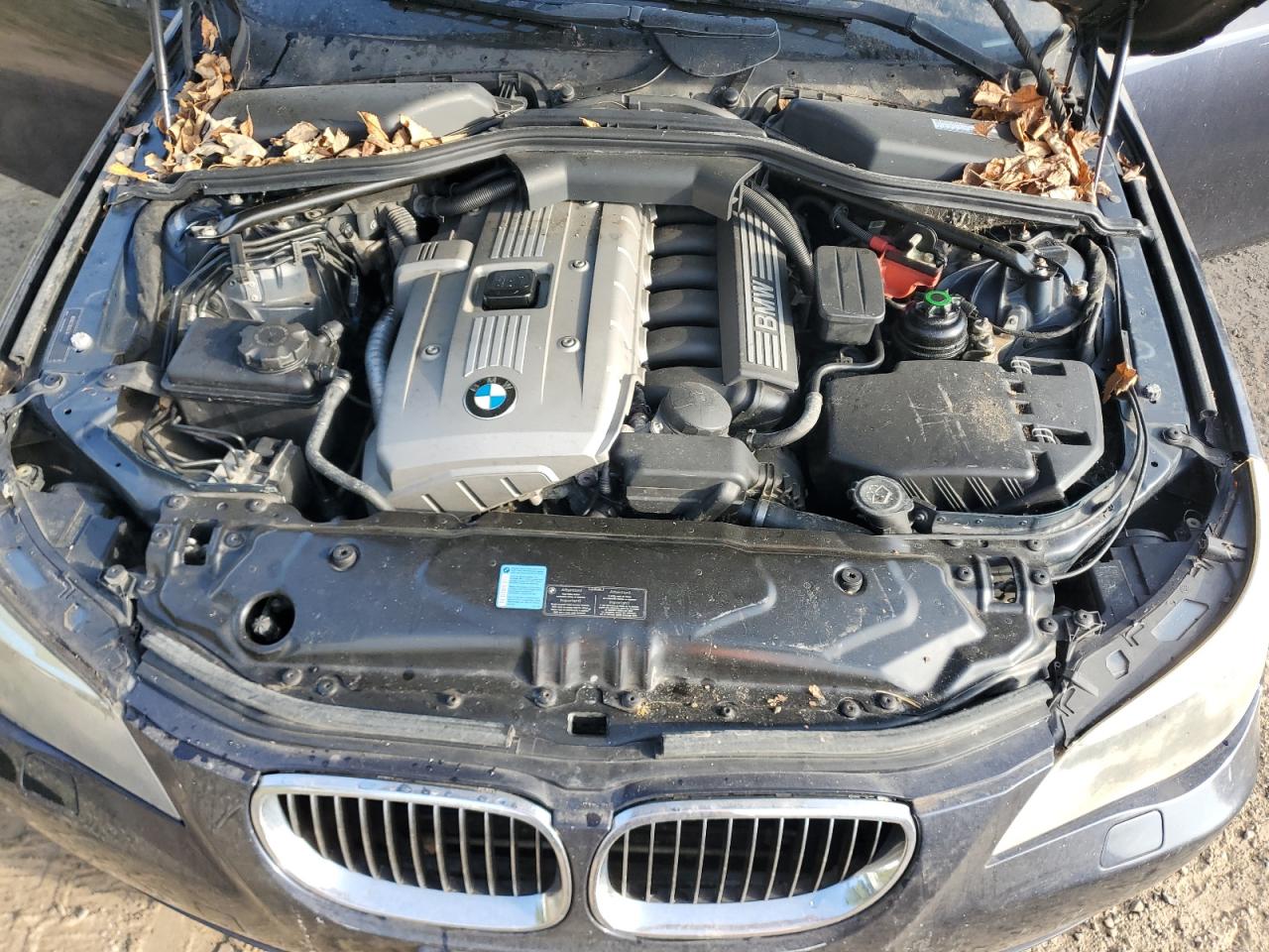 2007 BMW 525 Xi VIN: WBANF33527CW69888 Lot: 80119465