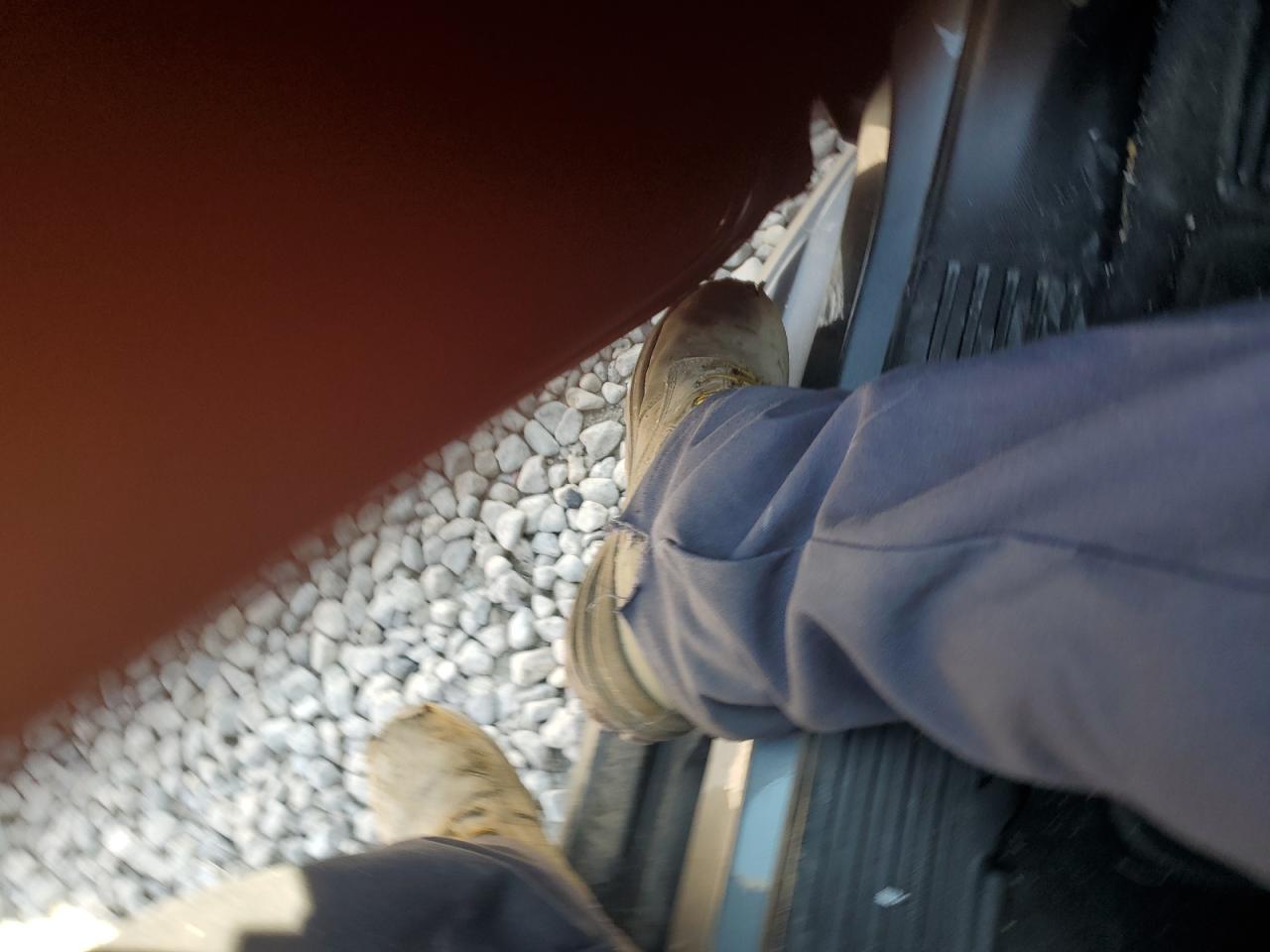 2020 Chevrolet Tahoe C1500 Ls VIN: 1GNSCAKC0LR143468 Lot: 81043275