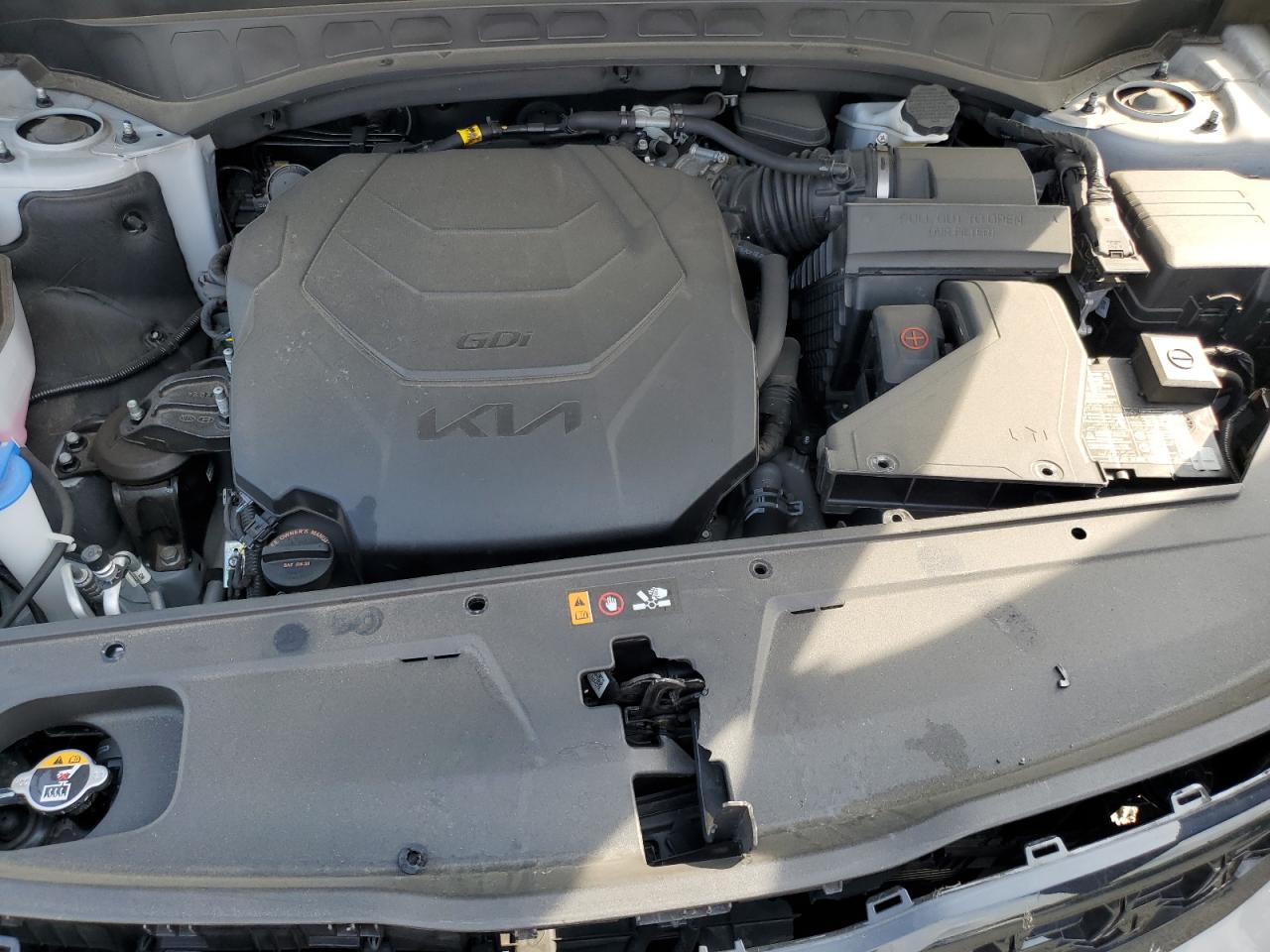 2024 Kia Telluride Sx VIN: 5XYP5DGC0RG440024 Lot: 82114765