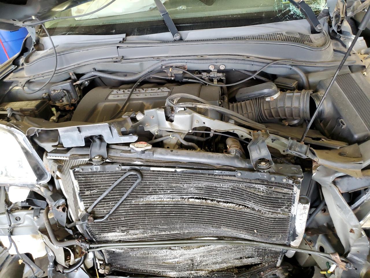 2008 Honda Pilot Se VIN: 5FNYF18378B025240 Lot: 81110945