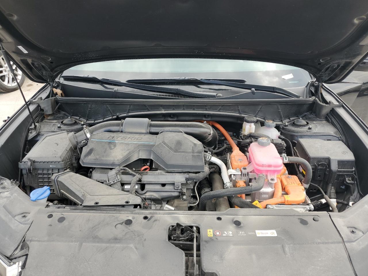 2024 Hyundai Tucson N Line VIN: KM8JFCD19RU180829 Lot: 80834695