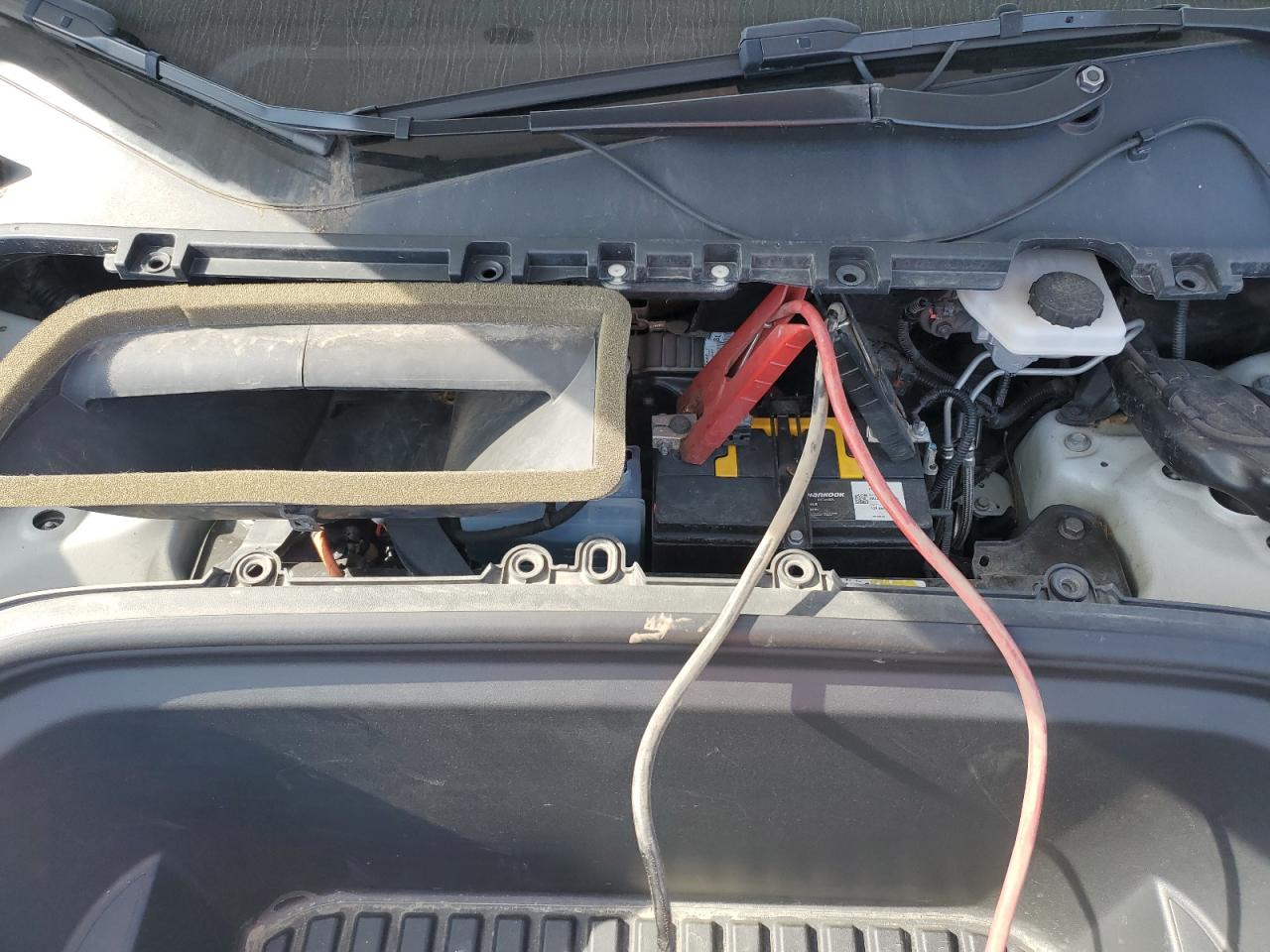 2021 Tesla Model Y VIN: 5YJYGDEE5MF195188 Lot: 81374785