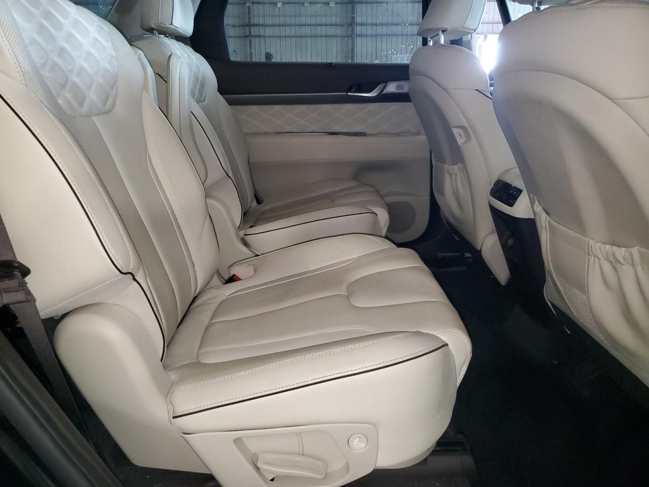 2021 Hyundai Palisade Calligraphy VIN: KM8R7DHE9MU219088 Lot: 81721075