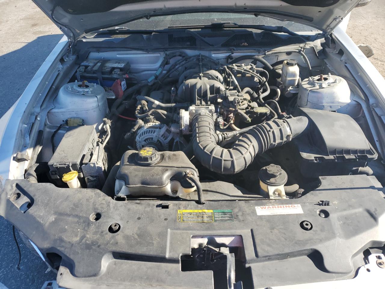 2010 Ford Mustang VIN: 1ZVBP8AN5A5151320 Lot: 71058735