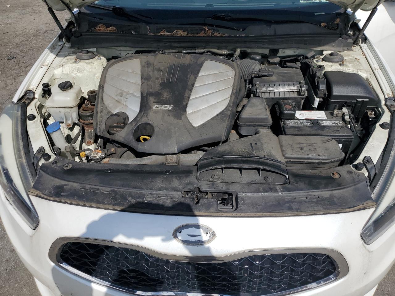 2015 Kia Cadenza Premium VIN: KNALN4D71F5196942 Lot: 80141785