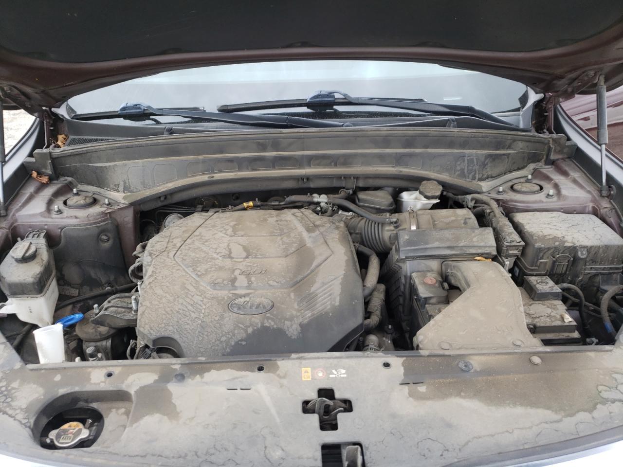 2020 Kia Telluride Ex VIN: 5XYP34HC0LG048236 Lot: 81868425