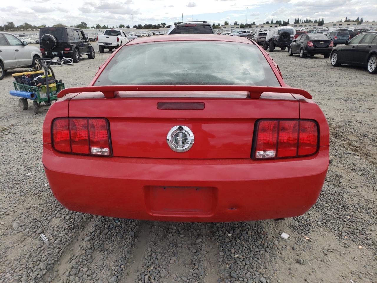 2006 Ford Mustang VIN: 1ZVFT80N165168119 Lot: 80091755