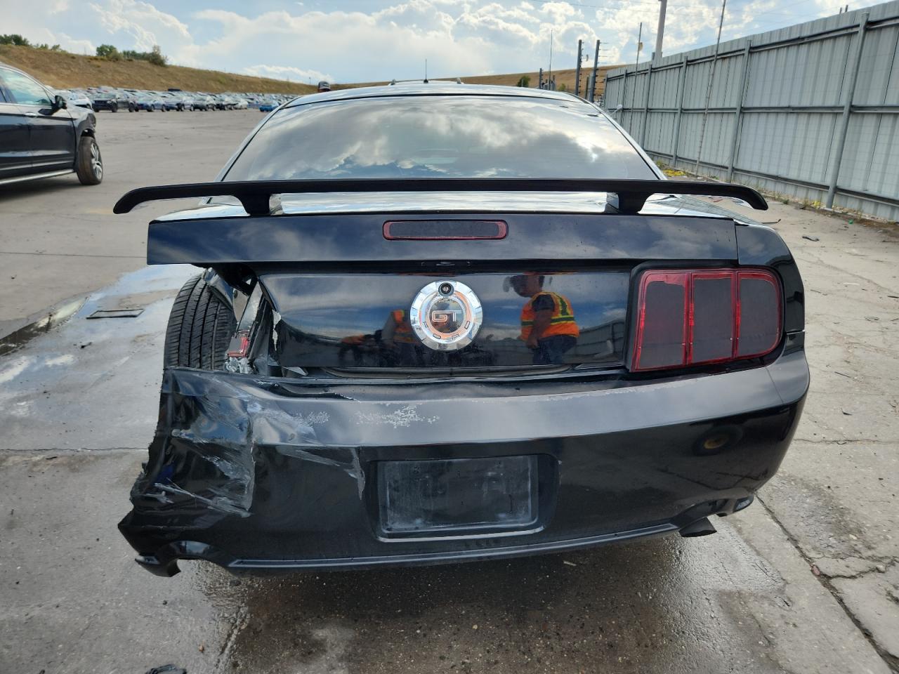 2009 Ford Mustang Gt VIN: 1ZVHT82H295134243 Lot: 81117775