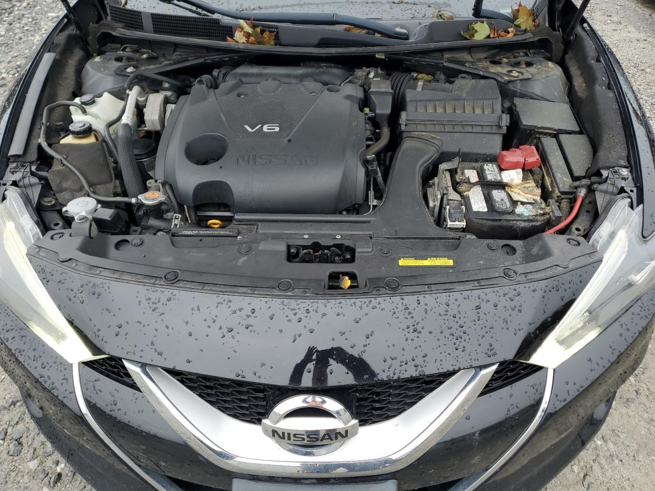 2017 Nissan Maxima 3.5S VIN: 1N4AA6AP7HC440538 Lot: 80670545