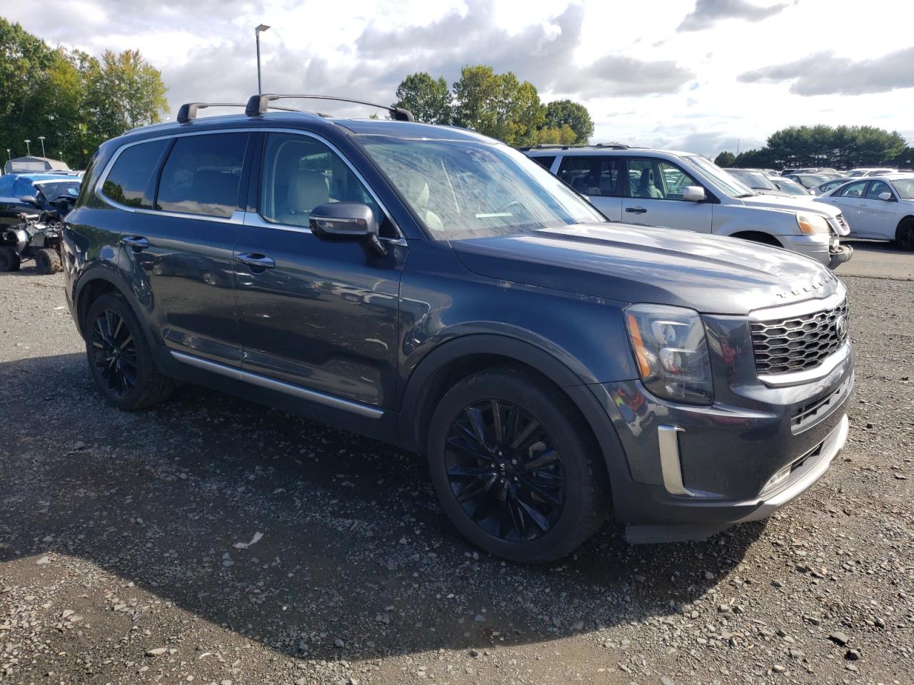 2020 Kia Telluride Sx VIN: 5XYP5DHCXLG038341 Lot: 84280905