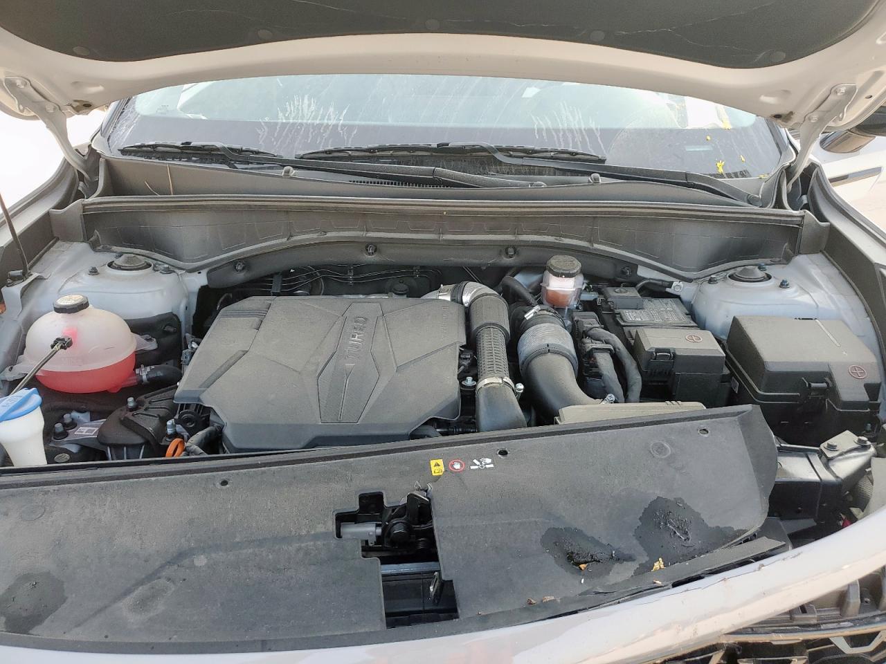 2023 Kia Sorento Sx VIN: 5XYRKDLF9PG184254 Lot: 81407255