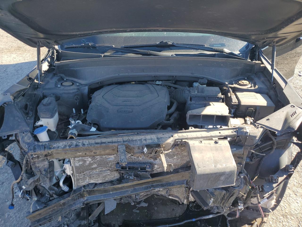 2020 Kia Telluride S VIN: 5XYP6DHC4LG012797 Lot: 83865295