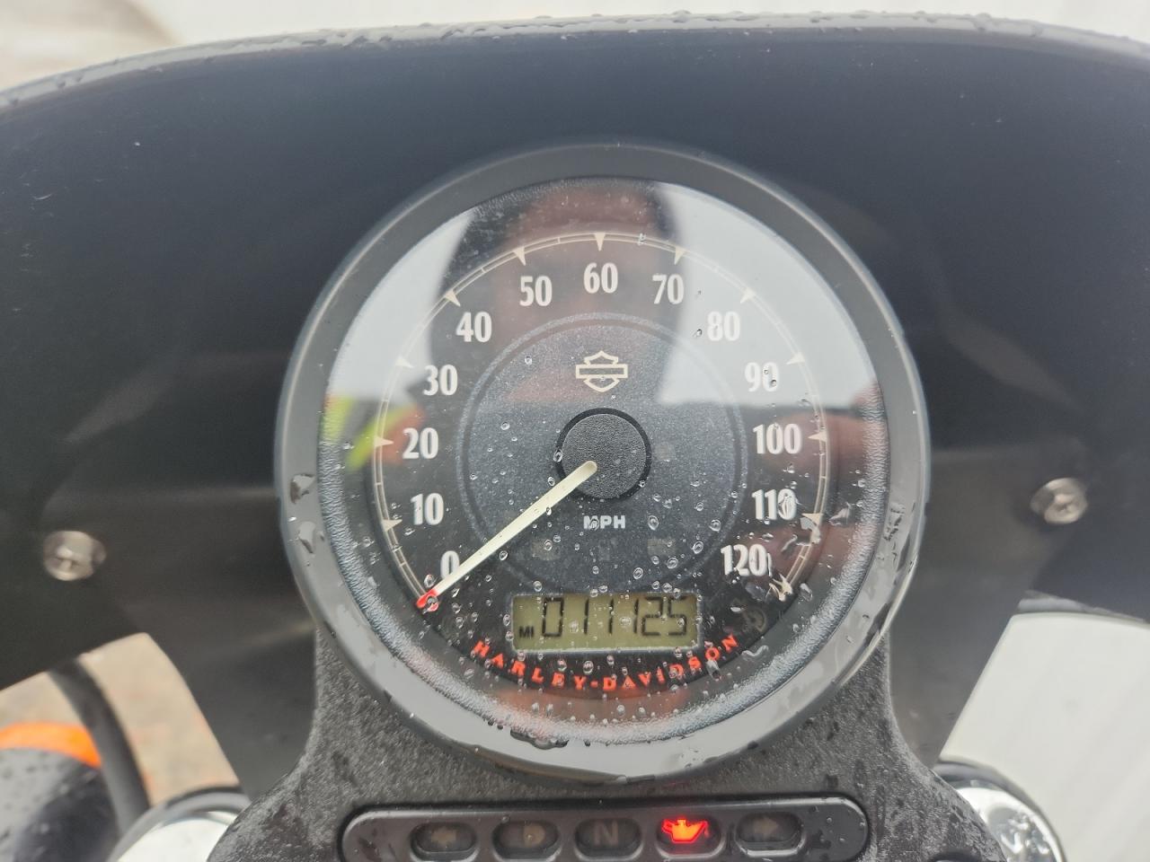 2014 Harley-Davidson Xl883 Iron 883 VIN: 1HD4LE211EC405607 Lot: 81696075