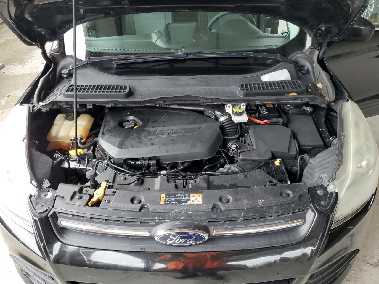 2014 Ford Escape Se VIN: 1FMCU0GX0EUE26769 Lot: 80031485