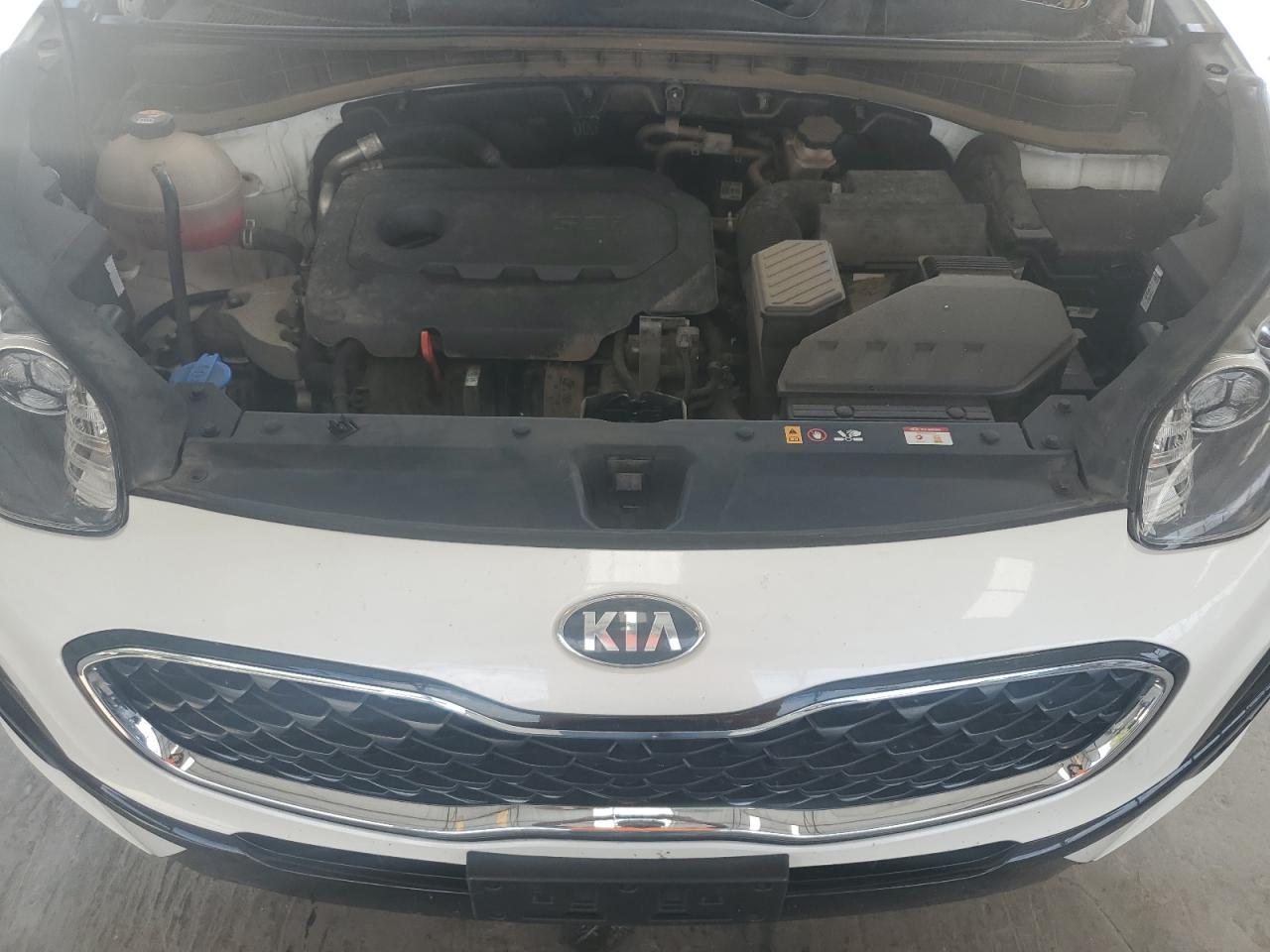 2021 Kia Sportage Lx VIN: KNDPMCAC4M7931031 Lot: 80660655