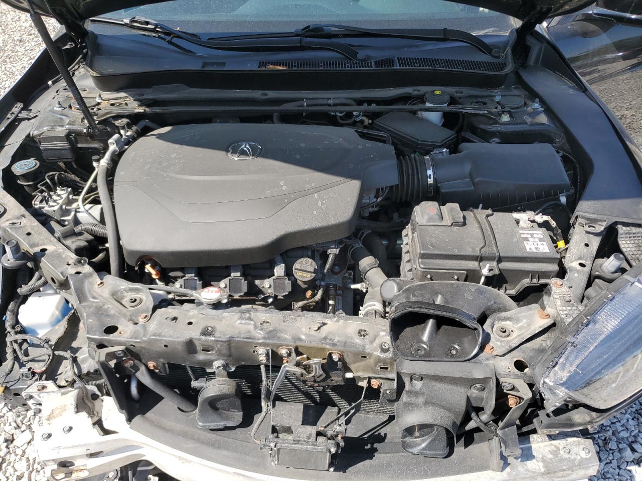 2019 Acura Tlx Technology VIN: 19UUB3F67KA801306 Lot: 71603225