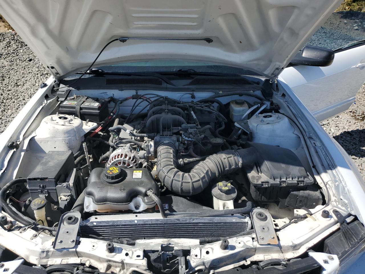 2006 Ford Mustang VIN: 1ZVFT80N665246894 Lot: 80672845