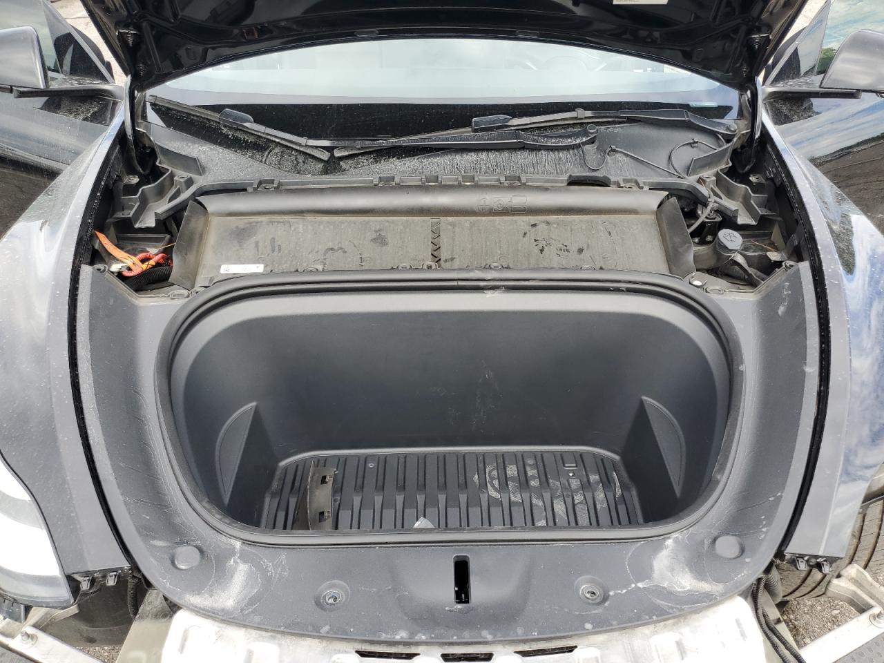 2022 Tesla Model Y VIN: 7SAYGDEEXNF509194 Lot: 81340475