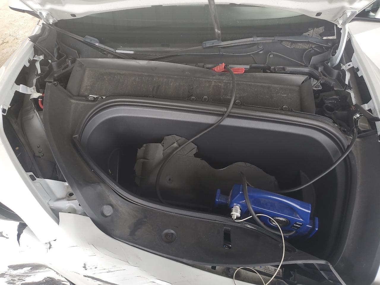 2023 Tesla Model Y VIN: 7SAYGDEE6PF826909 Lot: 81934295