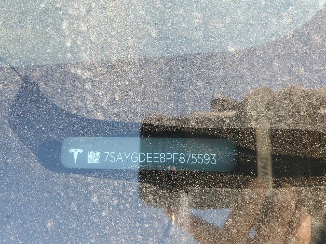 2023 Tesla Model Y VIN: 7SAYGDEE8PF875593 Lot: 81567485