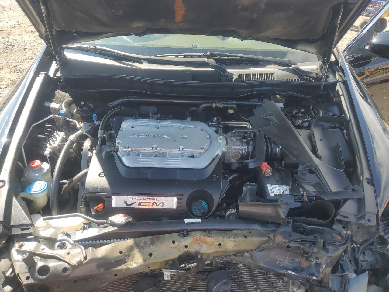 2010 Honda Accord Exl VIN: 1HGCP3F83AA011773 Lot: 81833745