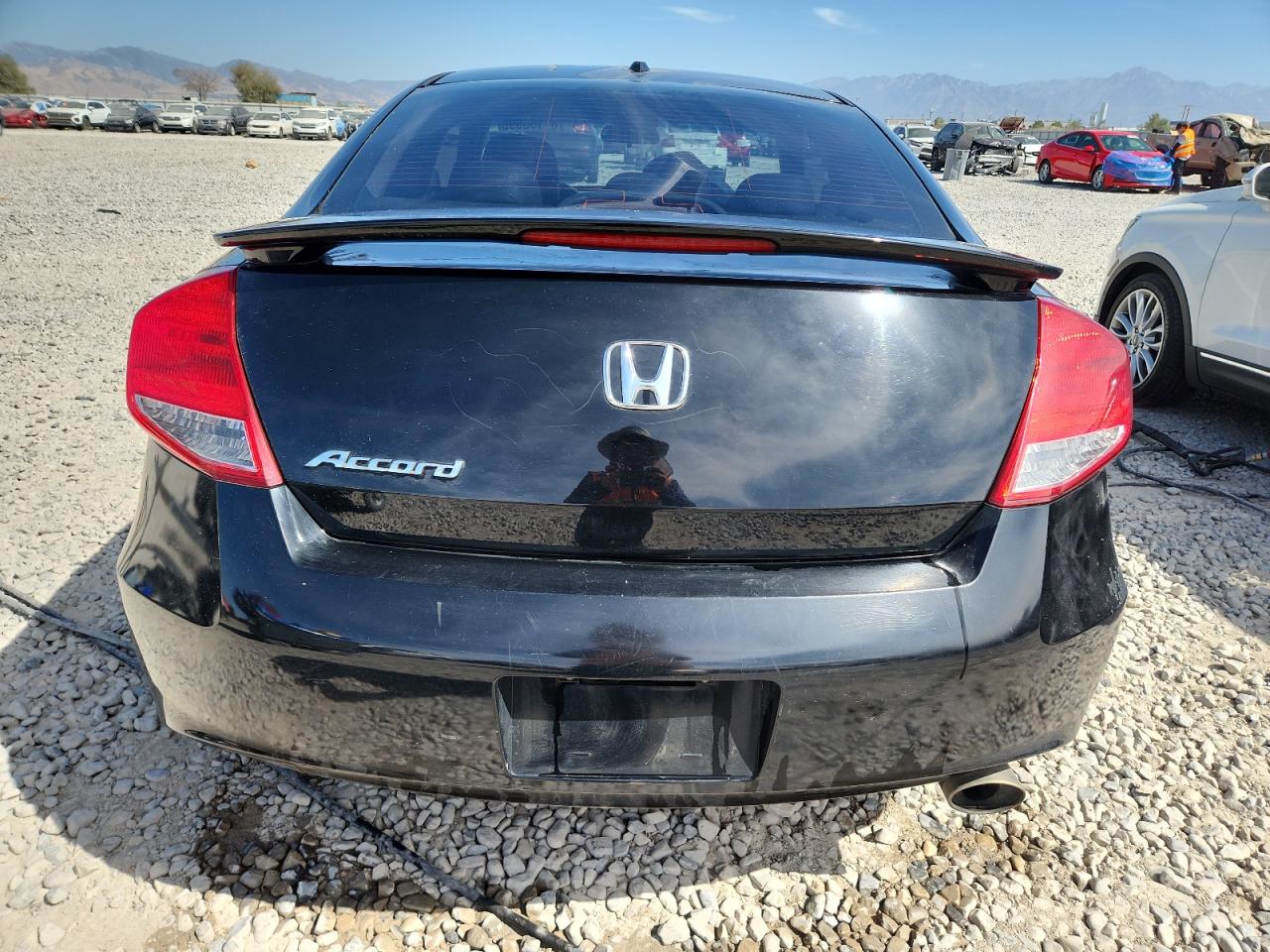 2011 Honda Accord Exl VIN: 1HGCS1B86BA013978 Lot: 81156595