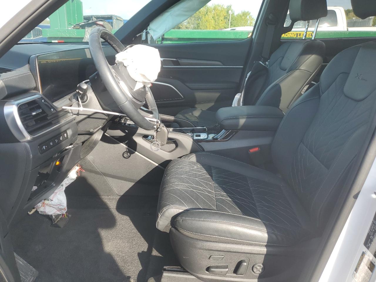 2024 Kia Telluride Sx VIN: 5XYP5DGC6RG549023 Lot: 81596325