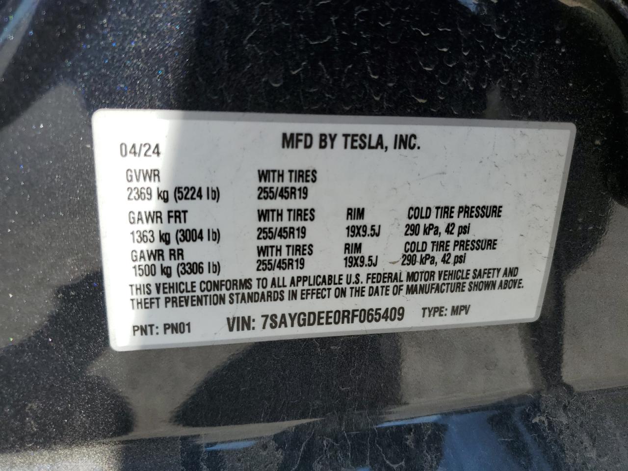 2024 Tesla Model Y VIN: 7SAYGDEE0RF065409 Lot: 81581515