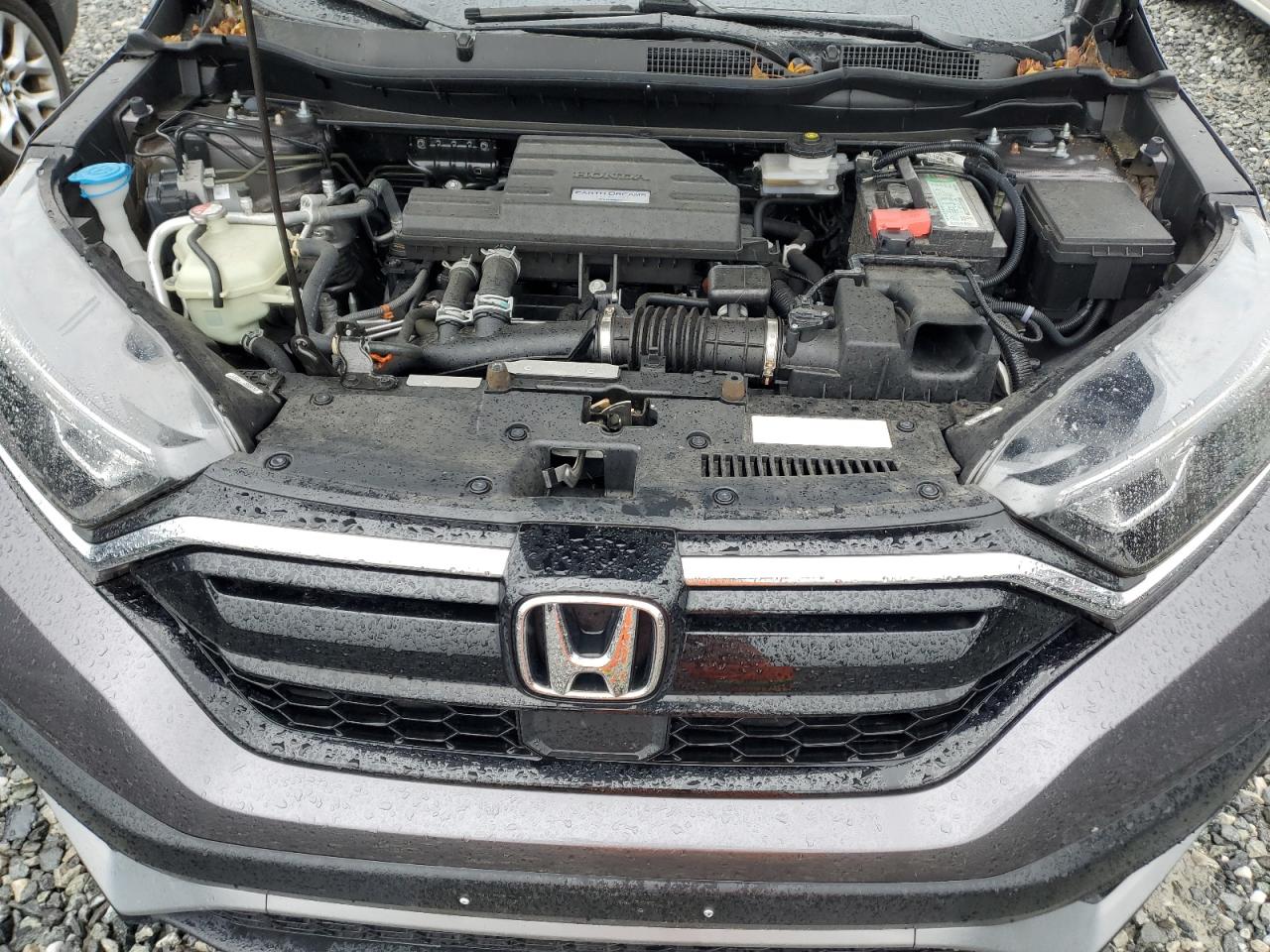 2020 Honda Cr-V Exl VIN: 5J6RW2H85LA093425 Lot: 83817315
