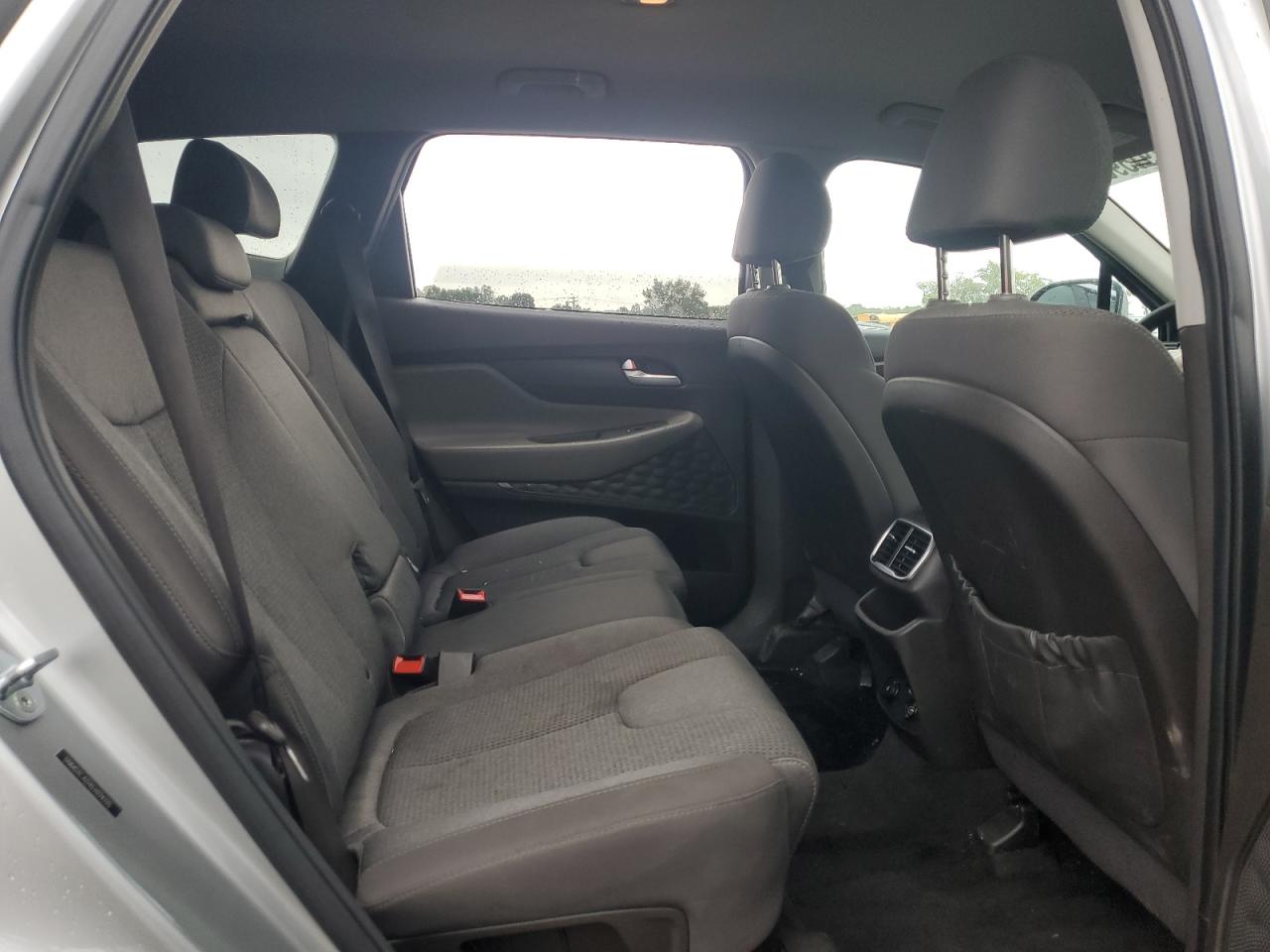 2020 Hyundai Santa Fe Sel VIN: 5NMS3CADXLH224335 Lot: 80791595