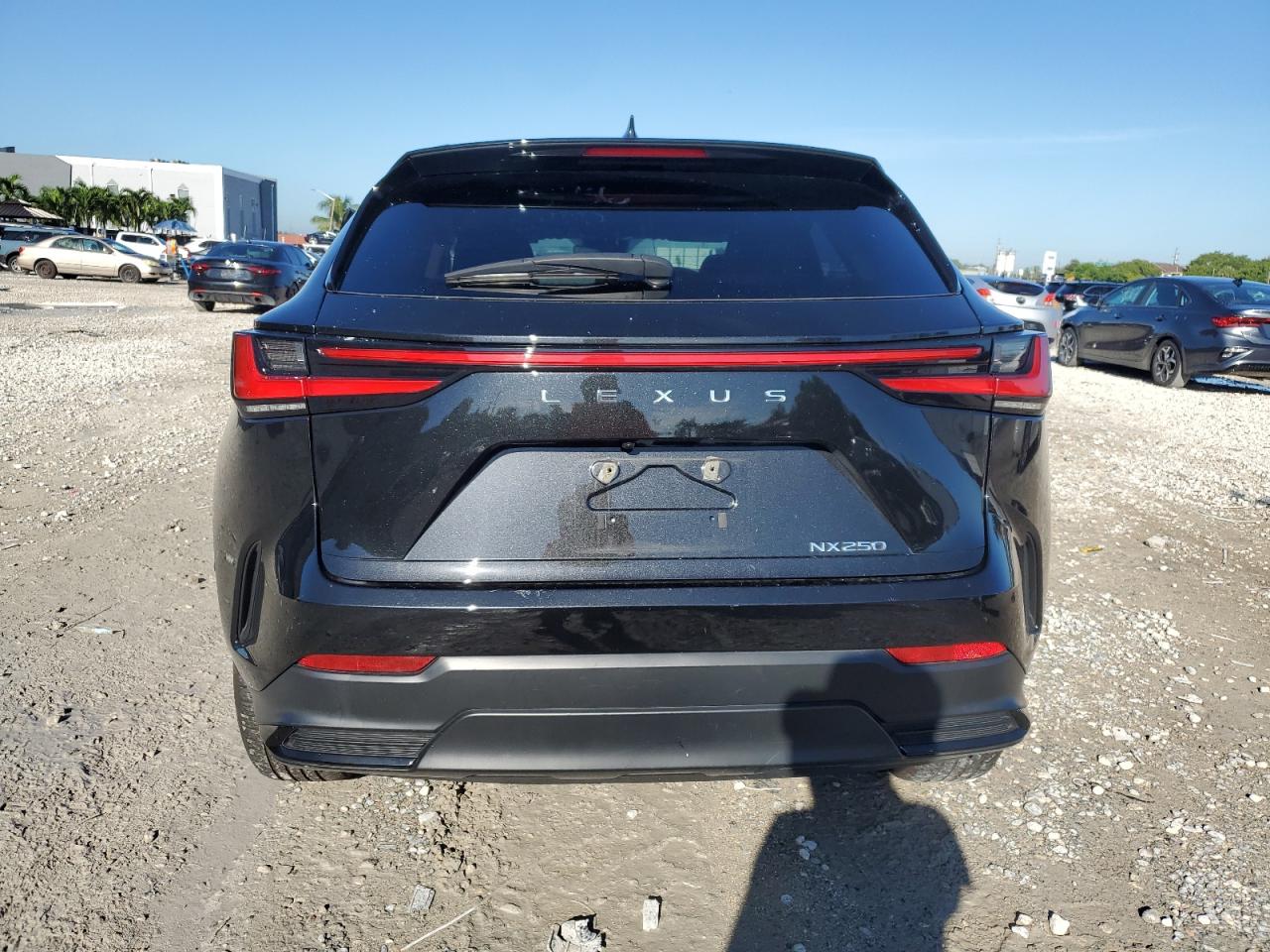 2024 Lexus Nx 250 Base VIN: 2T2ADCAZ9RC013156 Lot: 84355805