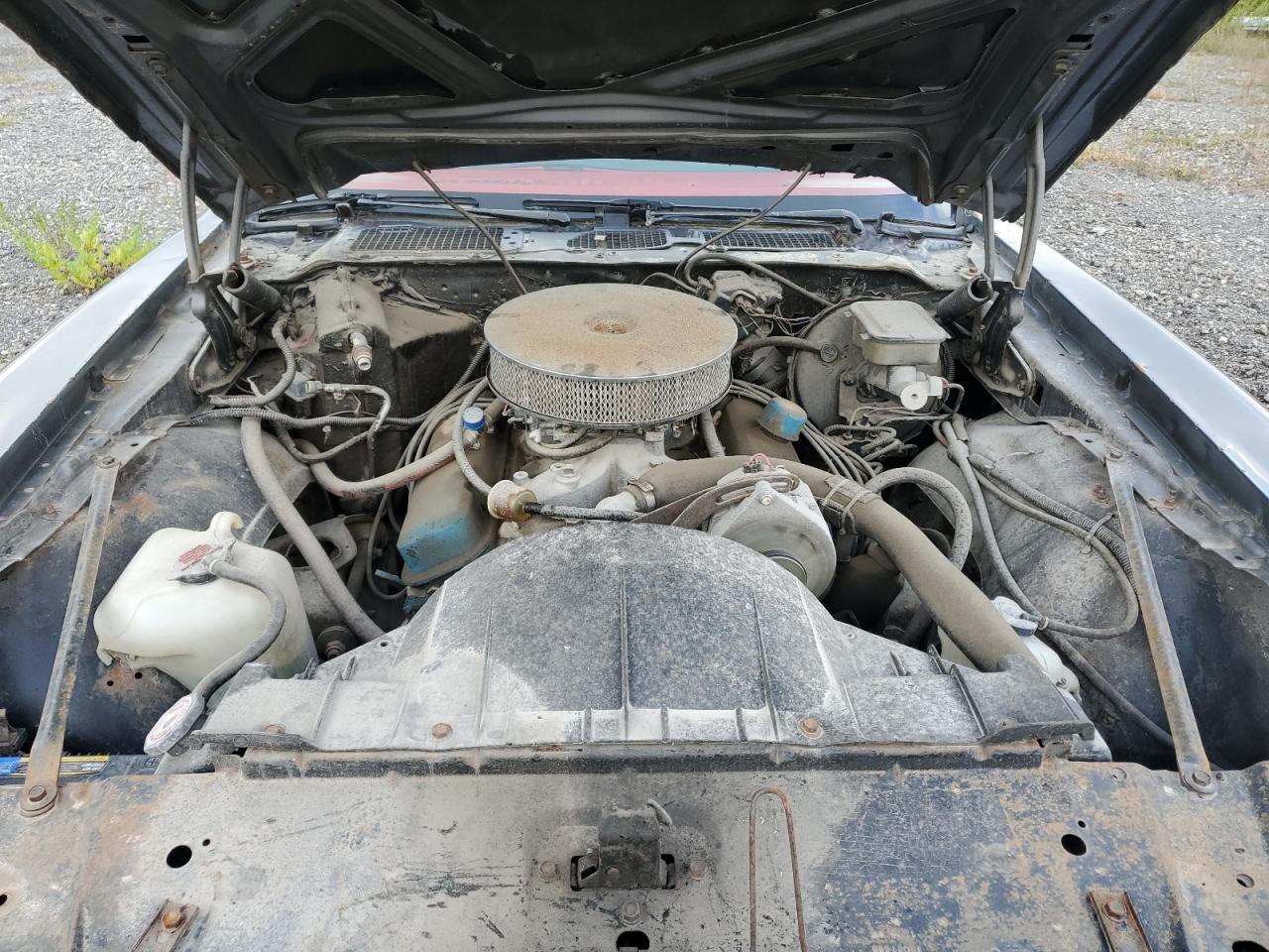 1981 Pontiac Firebird VIN: 1G2AS87A4BN117926 Lot: 71678445