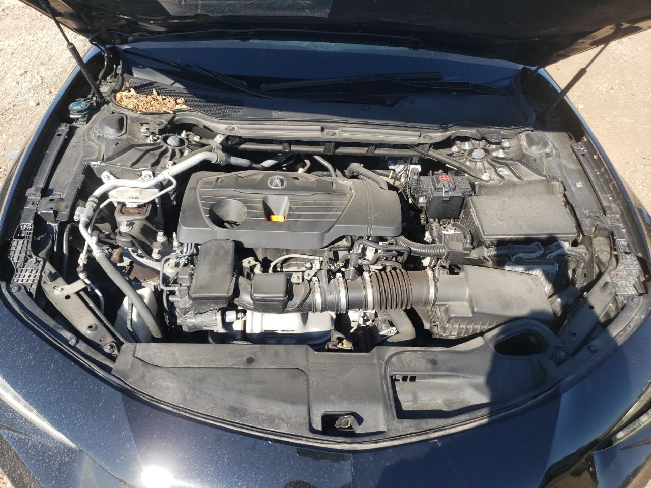 2021 Acura Tlx Technology VIN: 19UUB5F46MA013842 Lot: 71292855