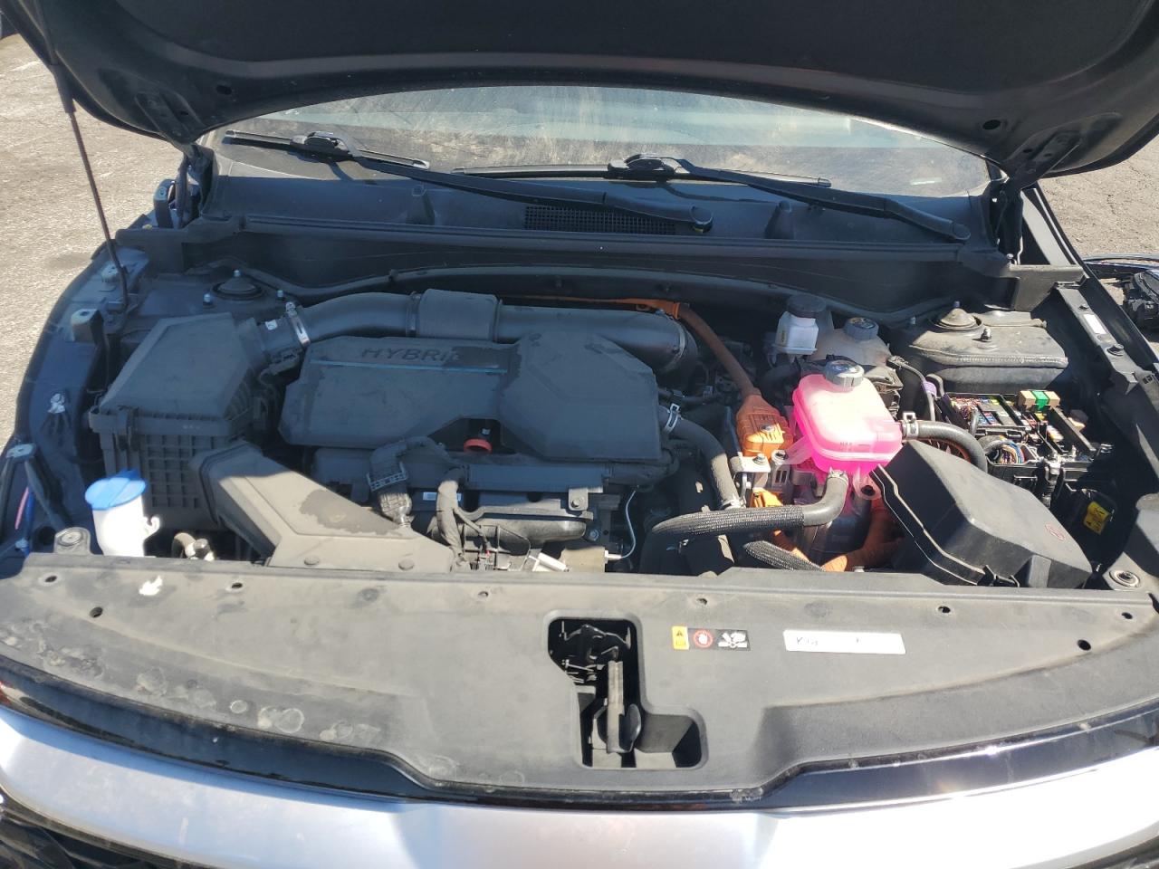 2023 Kia Sportage Ex VIN: KNDPVCAG6P7017688 Lot: 80909725