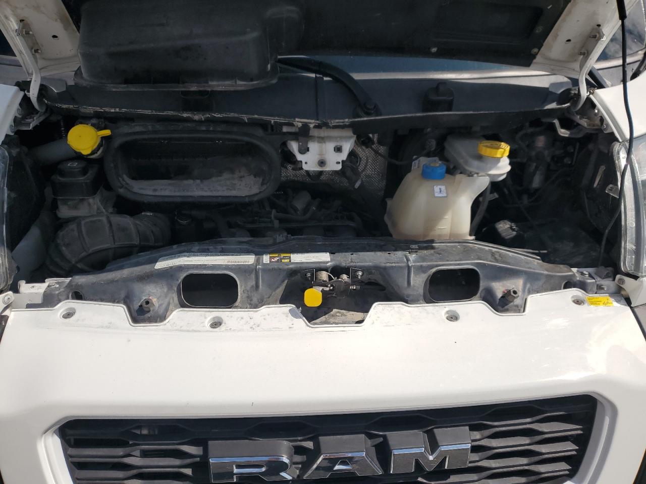 2019 Ram Promaster 1500 1500 Standard VIN: 3C6TRVAG9KE522574 Lot: 83836685