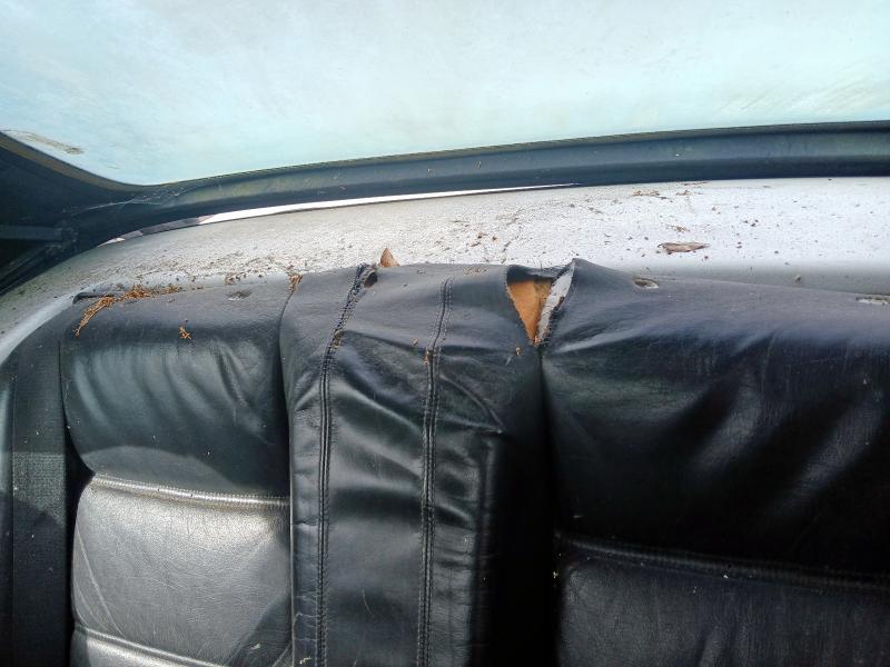 1992 BMW 318 I CONVERTIBLE 