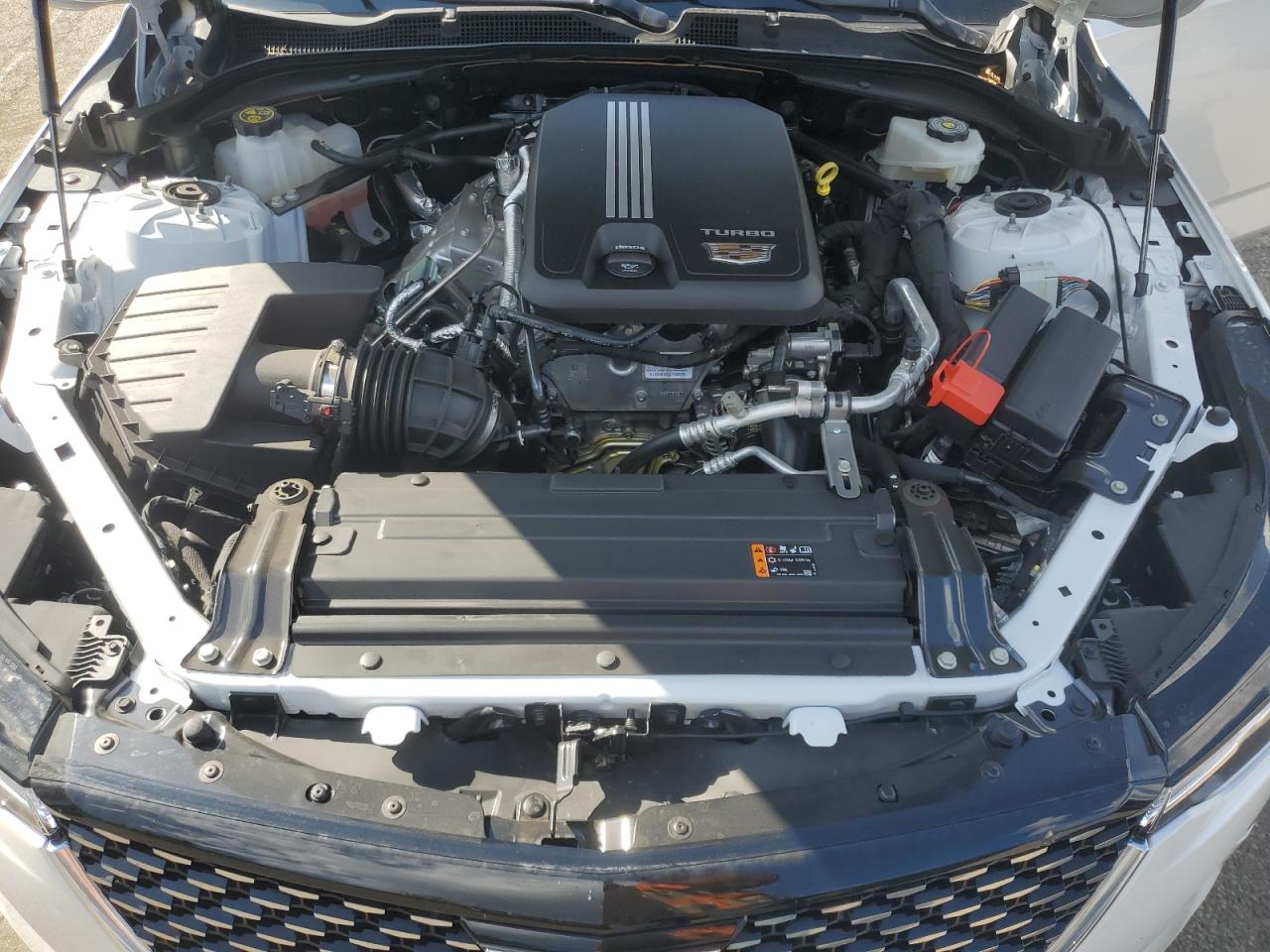 2023 Cadillac Ct4 Luxury VIN: 1G6DK5RK0P0116728 Lot: 81426675