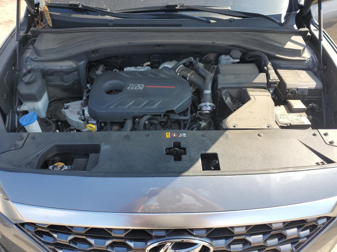 2019 Hyundai Santa Fe Limited VIN: 5NMS53AA1KH108424 Lot: 80810575