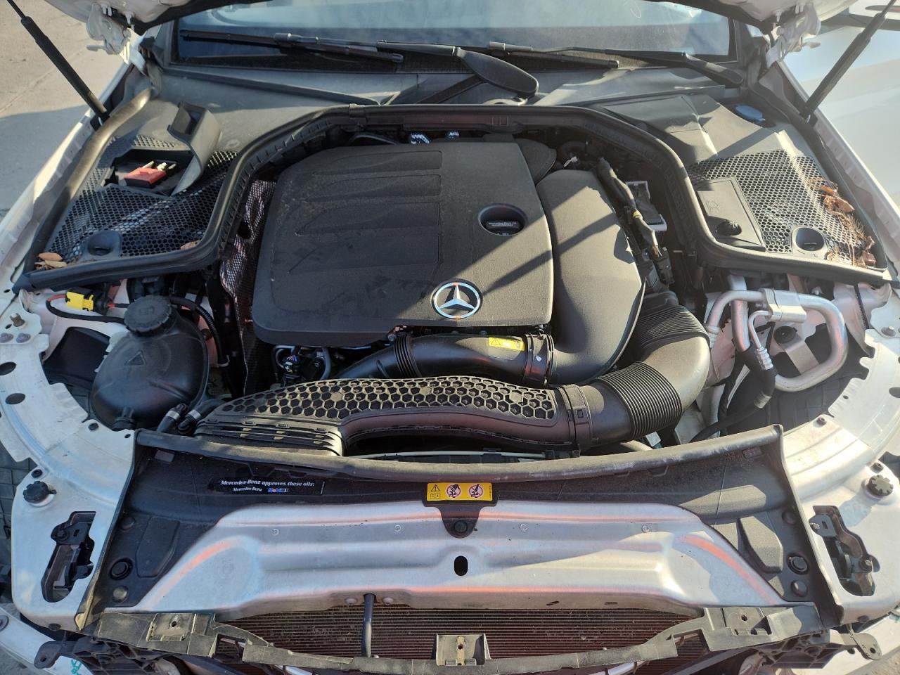 2019 Mercedes-Benz C 300 VIN: WDDWF8DB8KR482904 Lot: 81555205