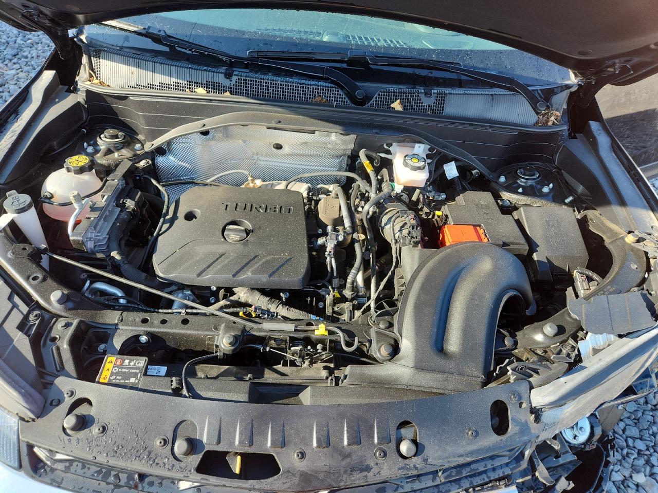 2024 Chevrolet Trailblazer Ls VIN: KL79MMSL9RB196707 Lot: 80379625