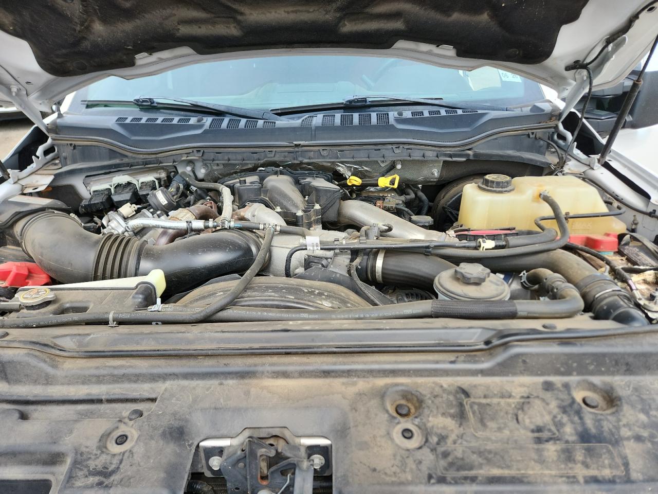 2019 Ford F250 Super Duty VIN: 1FT7W2BT4KED98819 Lot: 71173495