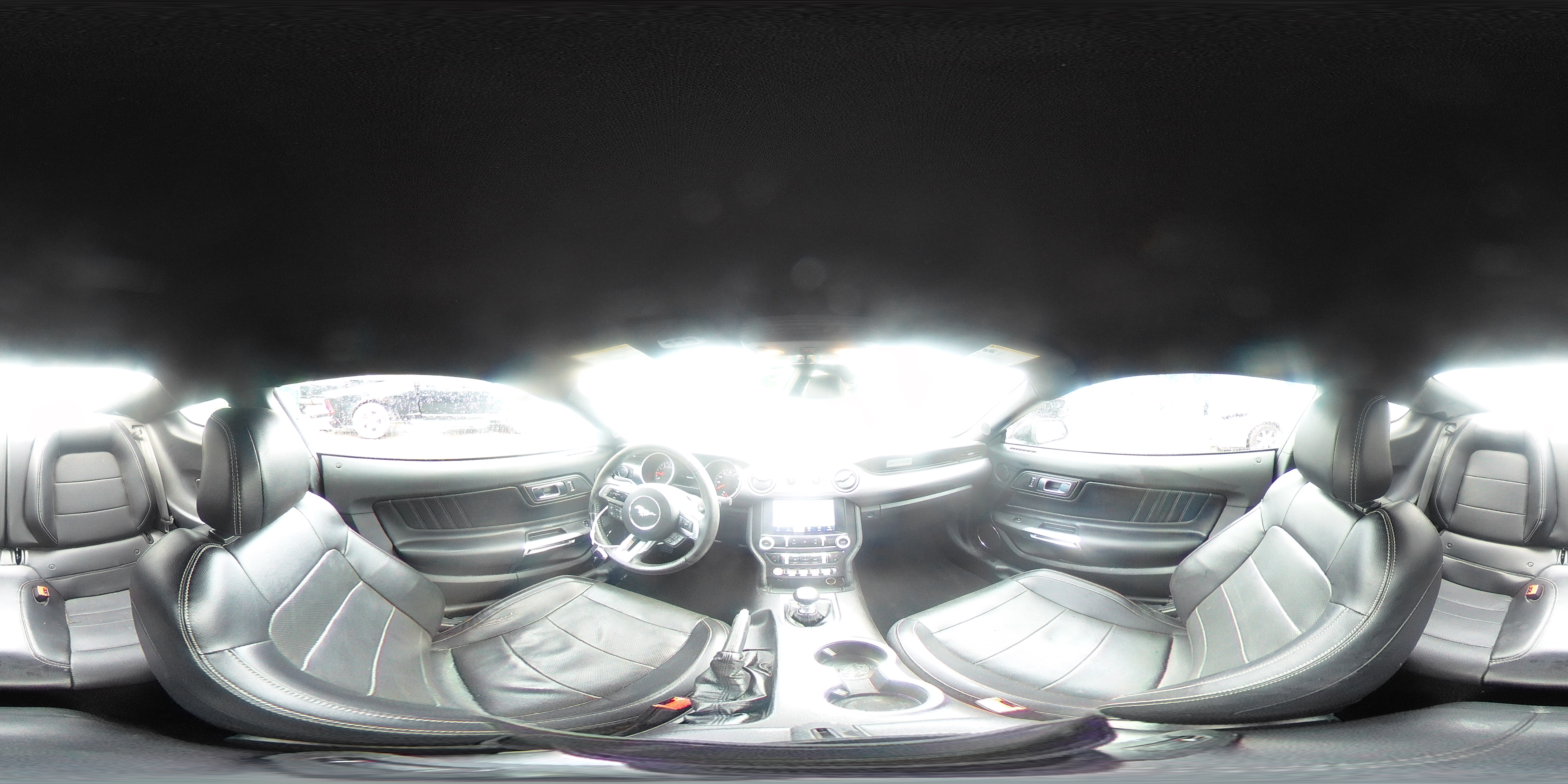 2019 Ford Mustang VIN: 1FA6P8TH3K5198896 Lot: 81188685