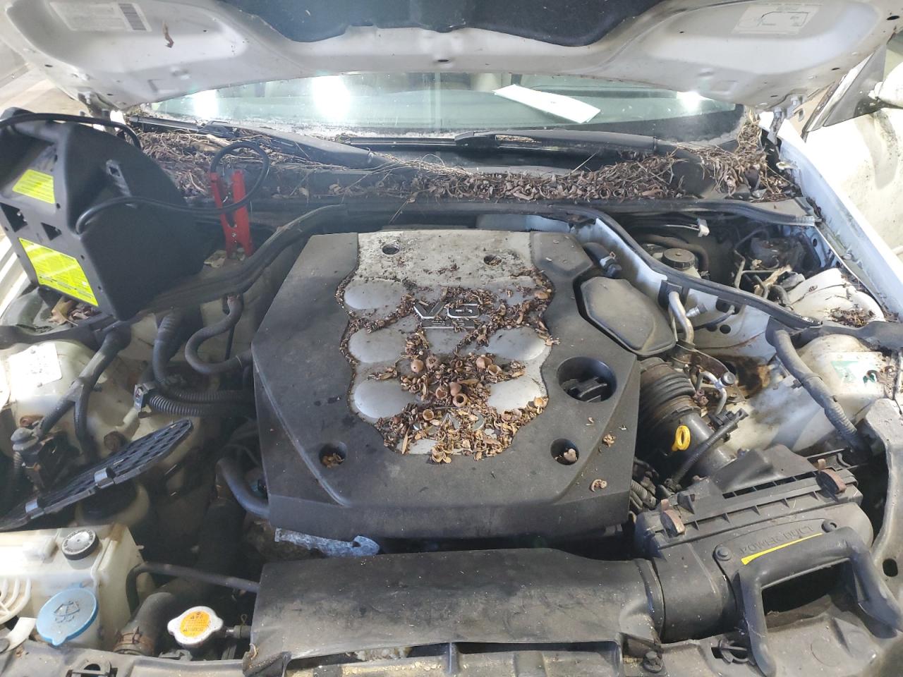 2005 Infiniti G35 VIN: JNKCV51F85M301239 Lot: 83763415