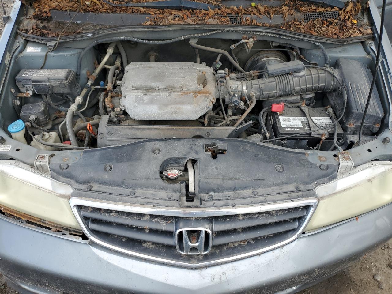 2002 Honda Odyssey Exl VIN: 5FNRL18982B031377 Lot: 93592385