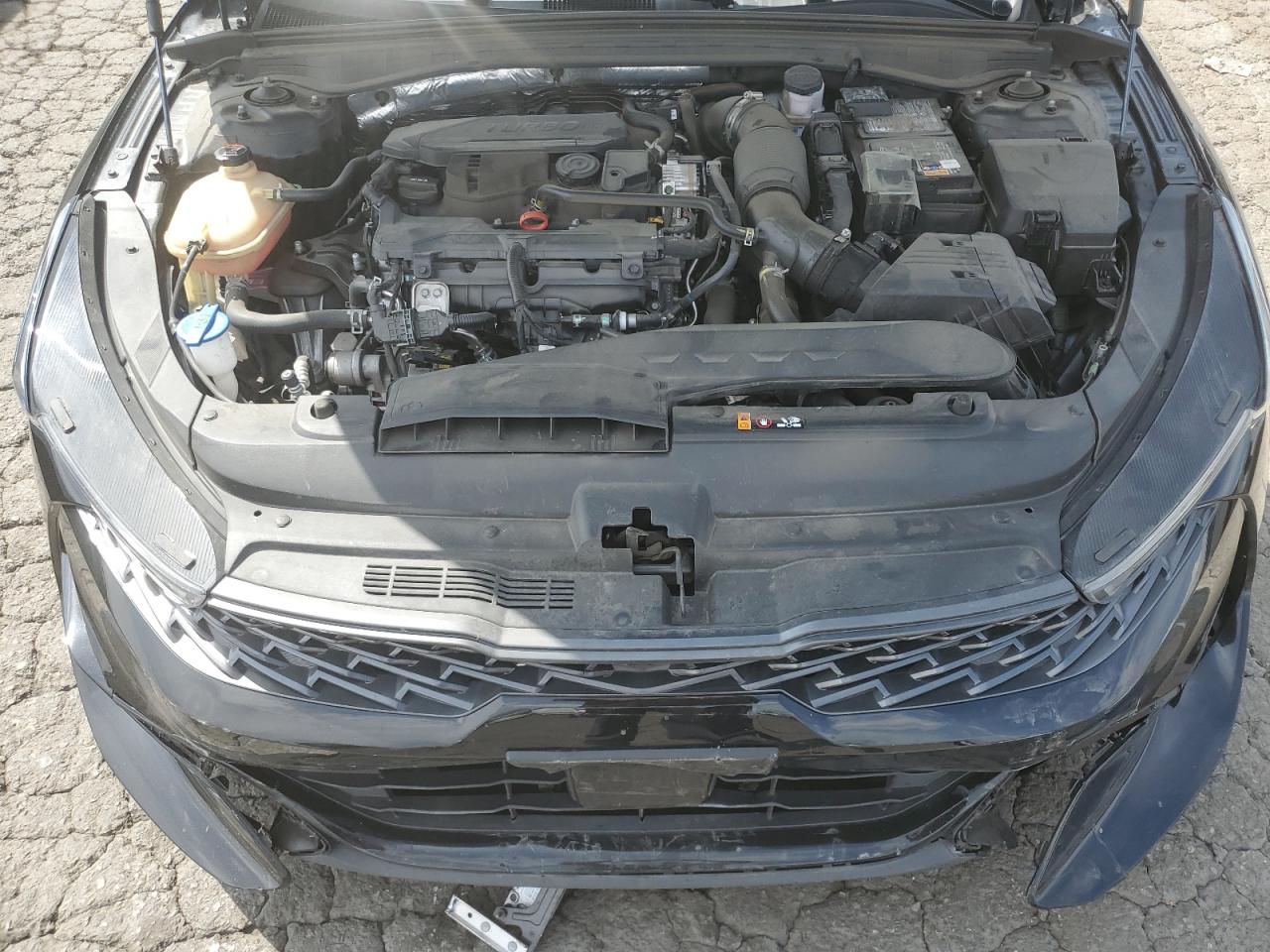 2024 Kia K5 Gt Line VIN: 5XXG64J26RG266168 Lot: 81041295
