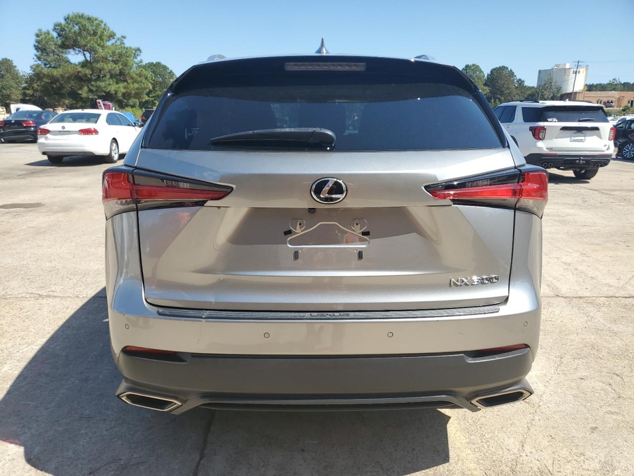 2020 Lexus Nx 300 VIN: JTJGARBZXL2159397 Lot: 81760875