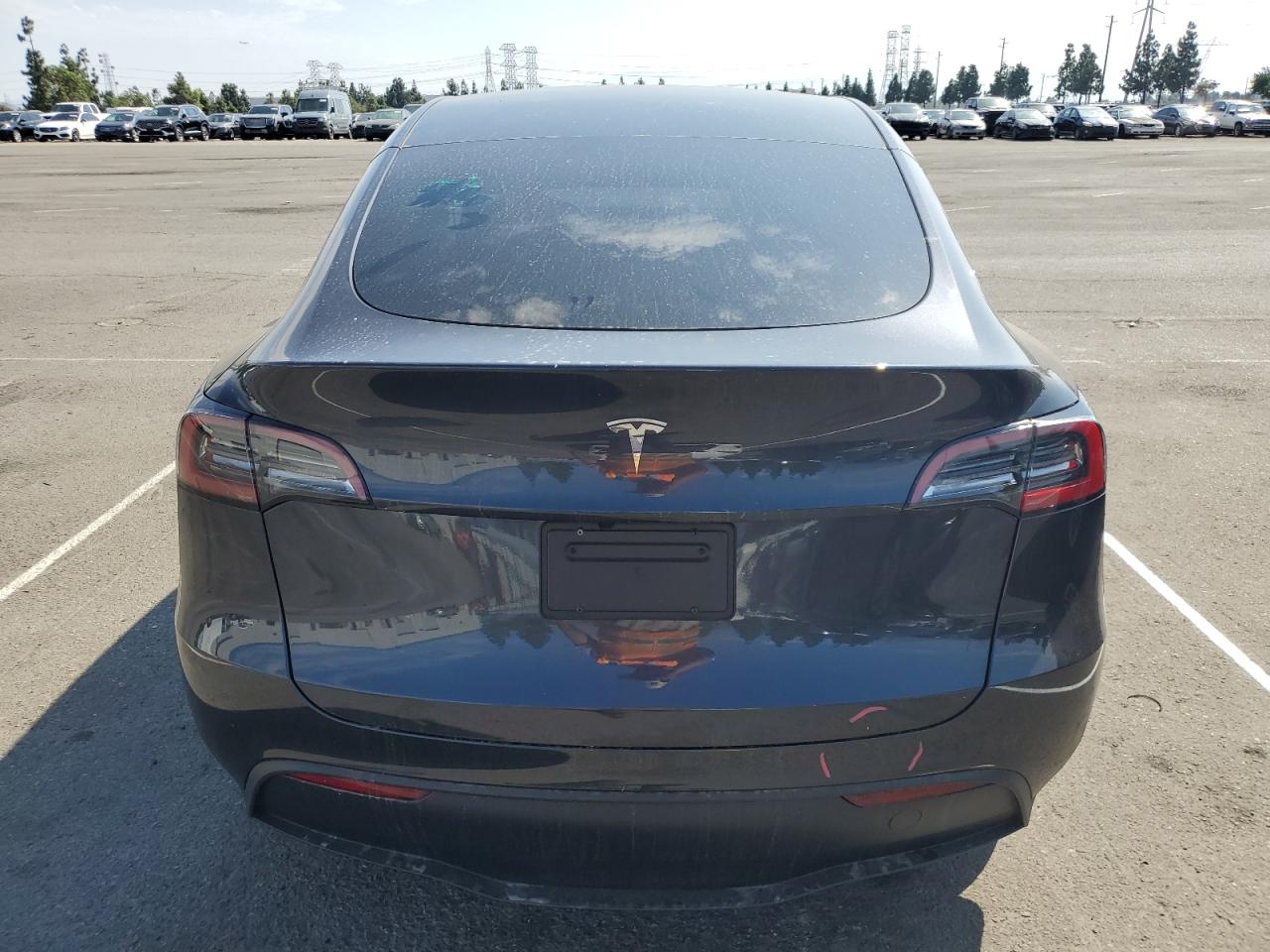 2025 Tesla Model Y VIN: 7SAYGDED1SF239968 Lot: 81671175