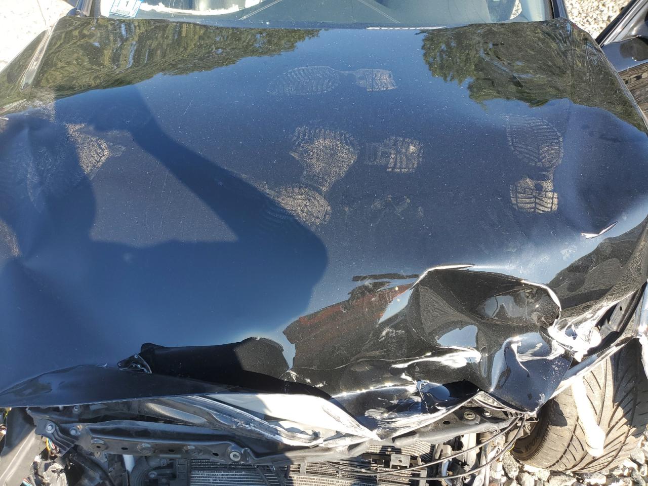 2018 Infiniti Q50 Luxe VIN: JN1EV7AR9JM431494 Lot: 71227705