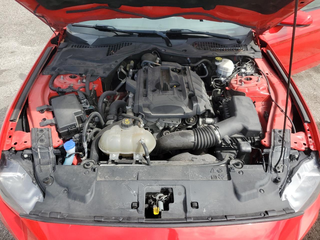 2020 Ford Mustang VIN: 1FA6P8TH0L5137183 Lot: 81908285