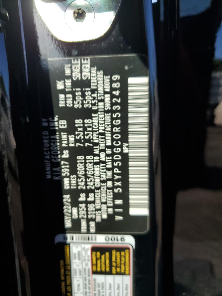 2024 Kia Telluride Sx VIN: 5XYP5DGC0RG532489 Lot: 81853935